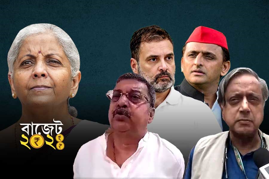 অন্ধ্রের জন্য বিশেষ প্যাকেজ, বিহারের জন্য কল্পতরু, শরিকদের ঝুলি ভরল নির্মলার বাজেটে