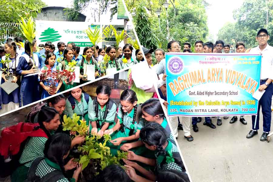‘যদি হও সুজন, করো বনসৃজন’, বিজ্ঞান মঞ্চের উদ্যোগে পালিত হল বনমহোৎসব
