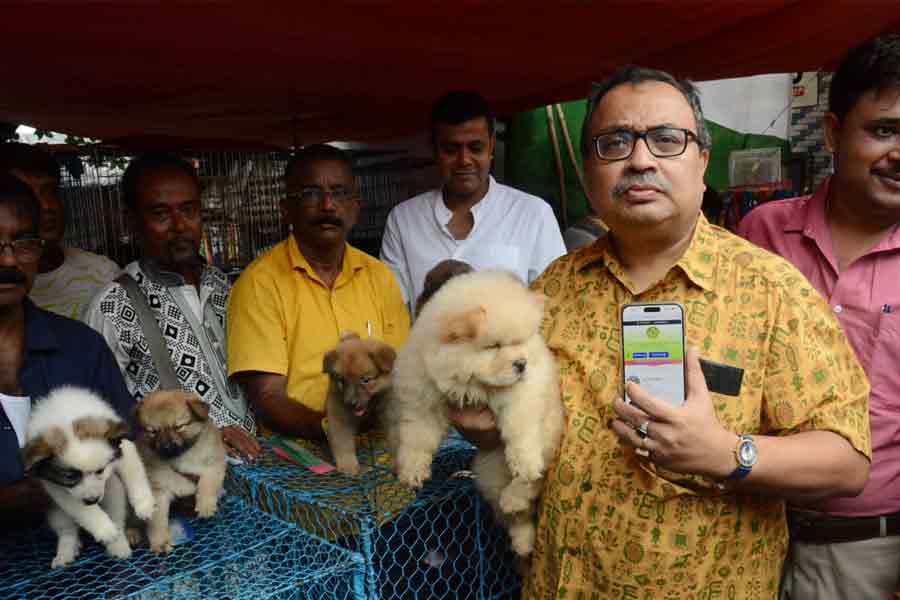 গ্যালিফ স্ট্রিটের পোষ্যের হাট এবার স্মার্টফোনে! ওয়েবসাইট লঞ্চে হাজির কুণাল ঘোষ