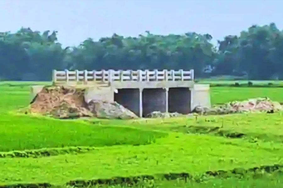 রাস্তা নেই, ফাঁকা মাঠে গজিয়ে উঠেছে আজব সেতু, ফের ব্রিজ বিতর্ক বিহারে