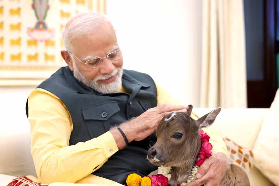 প্রধানমন্ত্রী মোদির বাসভবনে নতুন অতিথি, দীপজ্যোতি নাম রাখার বিশেষ কারণ জানেন?