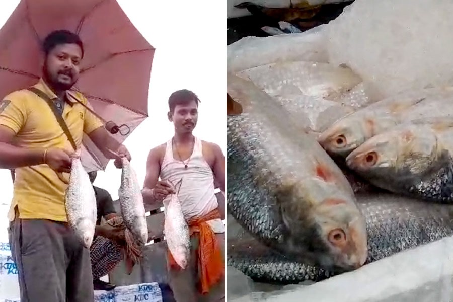 পুজোয় বঙ্গে পদ্মার ইলিশ, মুখে চওড়া হাসি ভোজনপ্রিয় বাঙালির