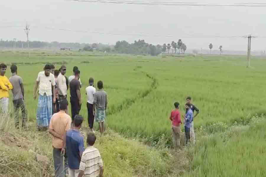 চোর ধরতে গিয়ে ছুরির কোপ, মহম্মদবাজারে মৃত্যু যুবকের
