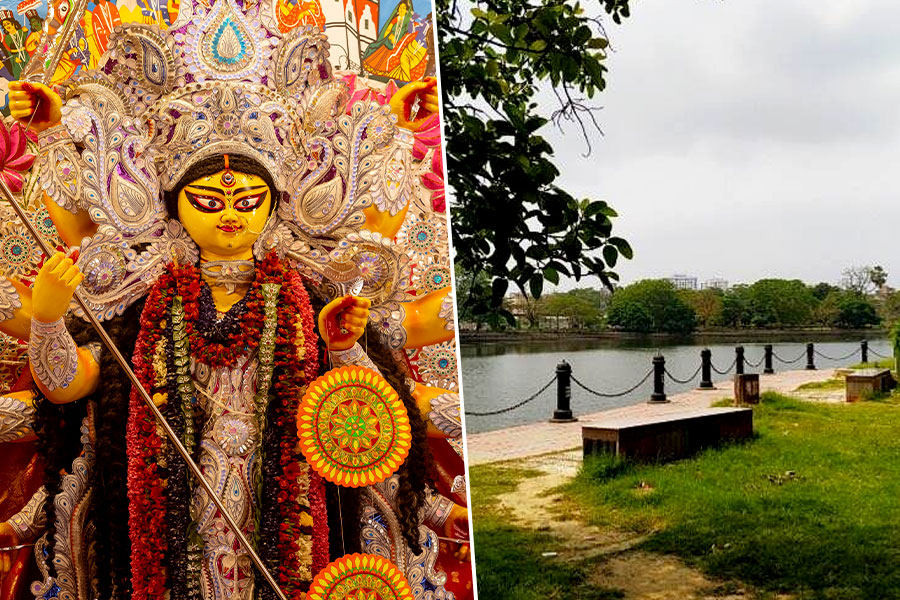 পরিবেশ রক্ষায় পুজোর শহরে ‘পরিবেশ যোদ্ধা’, উৎসবের মরশুমে চলবে কড়া নজরদারি