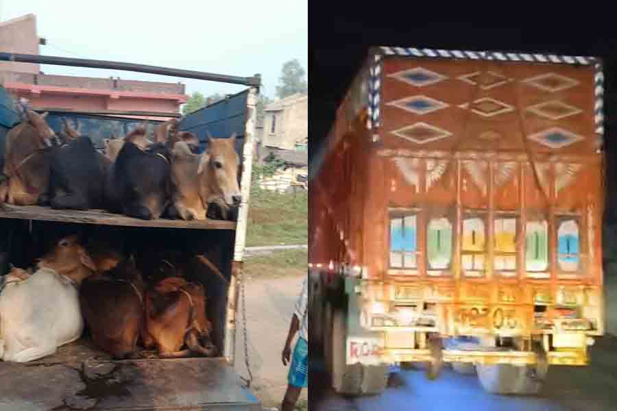 রাতে দুষ্কৃতীদের দখলে বীরভূমের জাতীয় সড়ক! অভিযান চালিয়ে বালি-কয়লা-গরু ধরল পুলিশ
