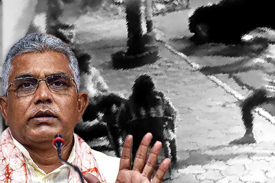 ‘পরিস্থিতি ভয়ংকর! কখন কার গুলি লাগবে কেউ জানে না’, কসবাকাণ্ডে সরব দিলীপ