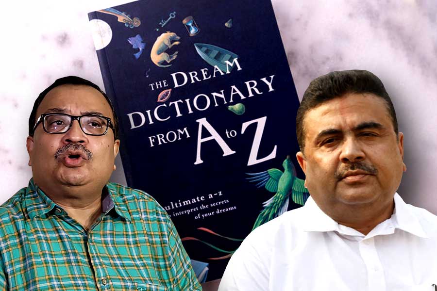 ‘ভাইপোকে জেলে ঢোকাব’, শুভেন্দুর মন্তব্যে ‘স্বপ্নের অভিধান’ কেনার পরামর্শ কুণালের