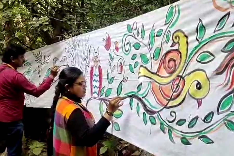 ৮৫ ফুটের ঝুলন্ত ক্যানভ্যাস, ছবির উৎসব পুরুলিয়ায়