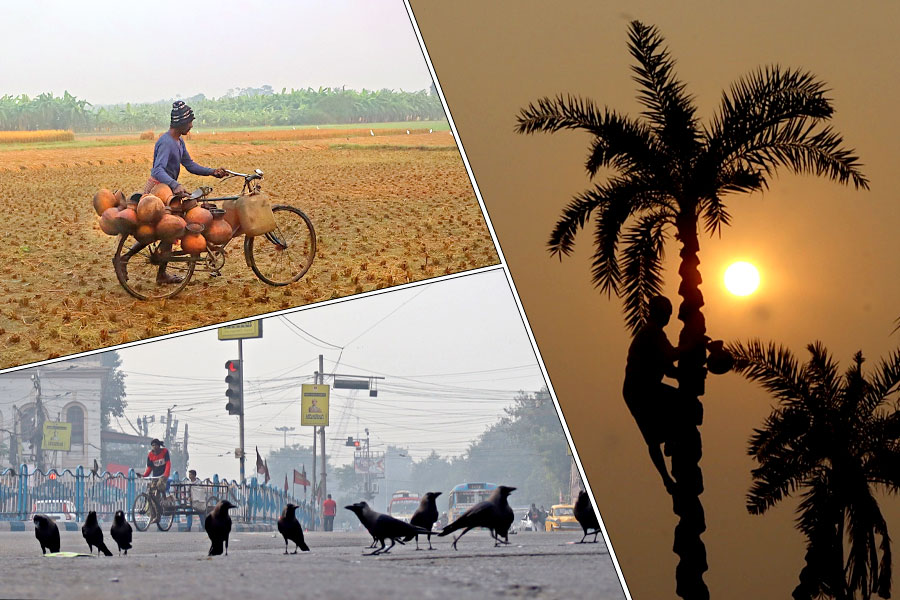 শীতের হাওয়ায় লাগল নাচন… রাজ্যজুড়ে মনোরম পরিবেশ, আরও নামবে পারদ?