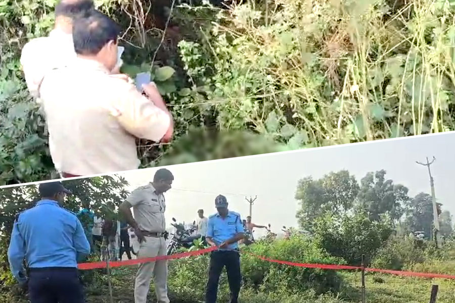 গাজোলে মুণ্ডহীন দেহ উদ্ধার! নরবলি নাকি খুন?