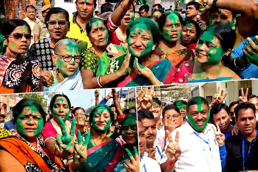 নৈহাটিতে সবুজ ঝড়! জয় পেলেন তৃণমূল প্রার্থী সনৎ দে