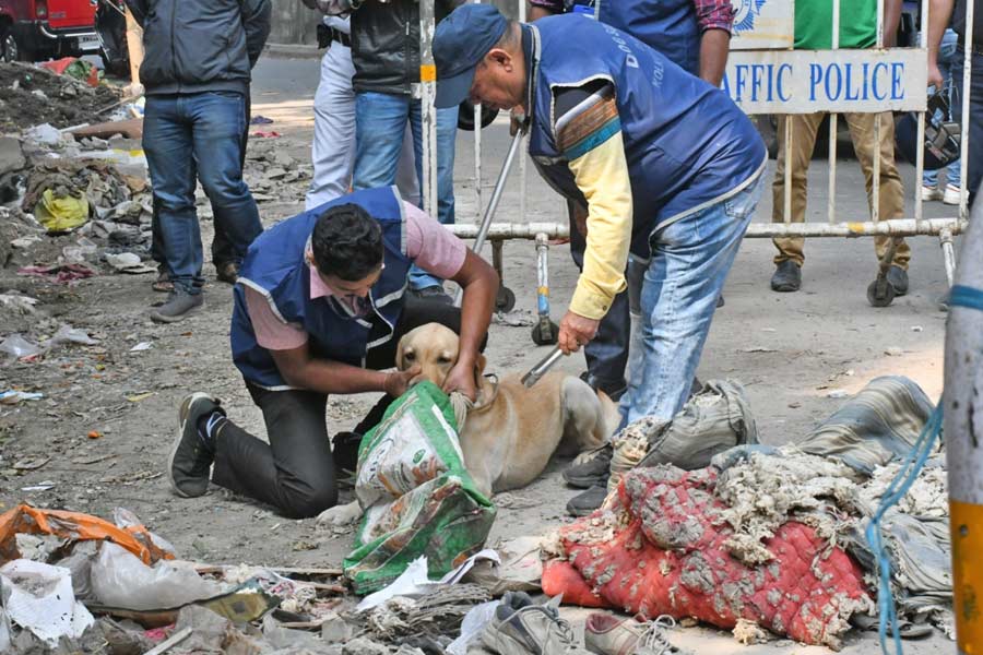 সাতসকালে আবর্জনার স্তূপে মিলল মহিলার কাটা মুন্ডু! শোরগোল গল্ফগ্রিনে