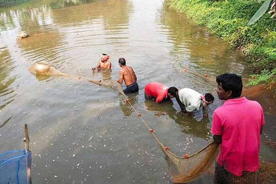 জুনপুটে বিলুপ্তপ্রায় মাছ সংরক্ষণে ‘অভয় পুকুর’, মৎস্য দপ্তরের উদ্যোগে লাভের আশা