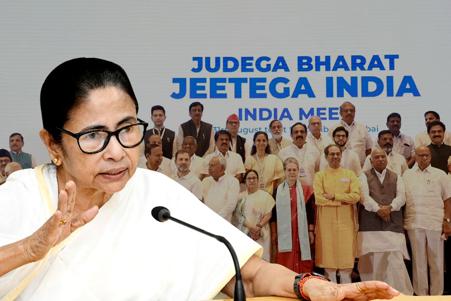 ওরা আমায় দেখতে পারে না, কিন্তু বাংলায় বসেই ইন্ডিয়া জোট চালাতে পারি: মমতা