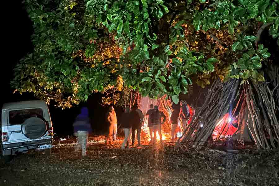 ৫ টোপ, আট ক্যামেরা! তবু ‘জিনাতে’র দেখা নাই! আজ কি নতুন কৌশল?