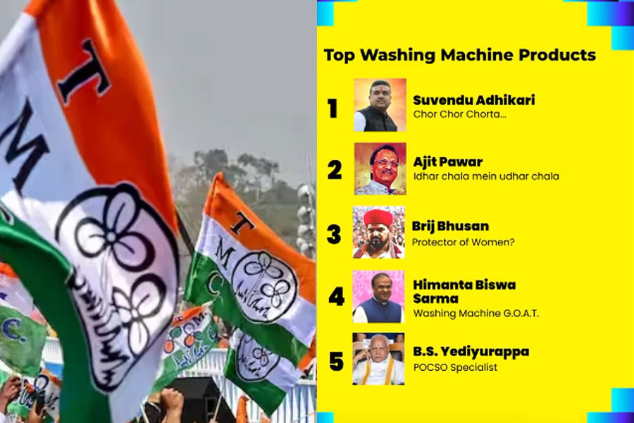 নতুন প্রজন্মের ভোটারদের নজর টানতে নয়া কৌশল! স্পটিফাইয়ে রিলস প্রকাশ তৃণমূলের