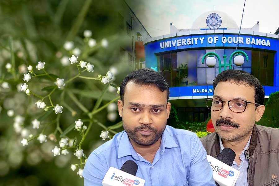 বিষ থেকে অমৃত! ফুসফুসের ‘শত্রু’ পার্থেনিয়ামেই অসাধ্য সাধন