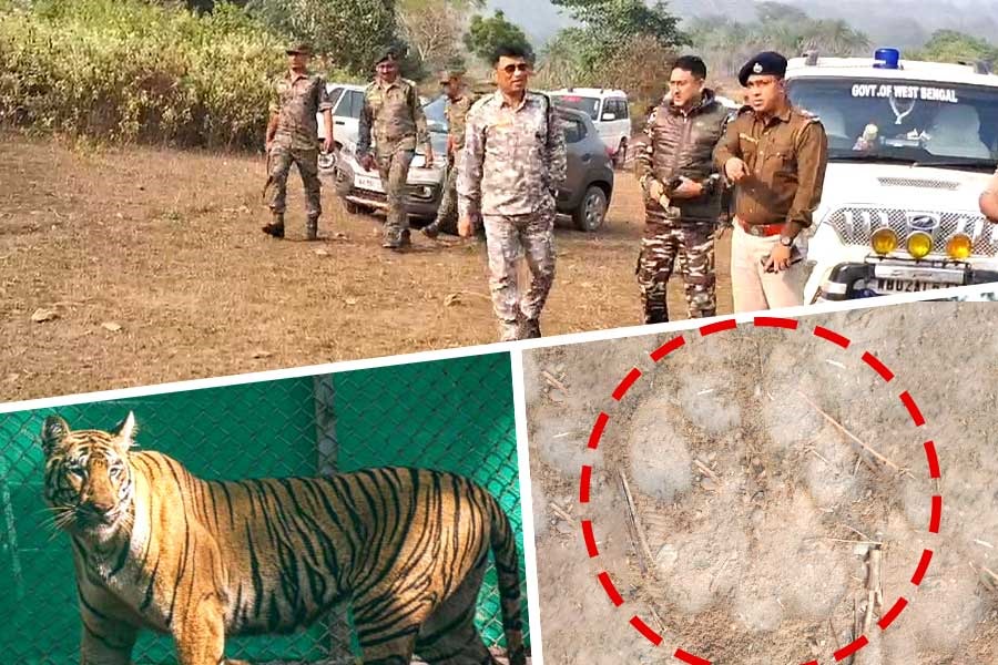 টোপ সুস্বাদু ‘ব্ল্যাক বেঙ্গল গোট’ও গিলল না জিনাত!