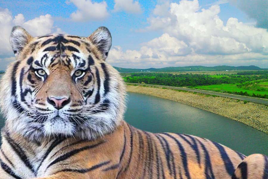 মুকুটমণিপুরে পর্যটন স্থলের আশপাশেই ঘুরছে জিনাত! আতঙ্কে কাঁটা পর্যটকরা