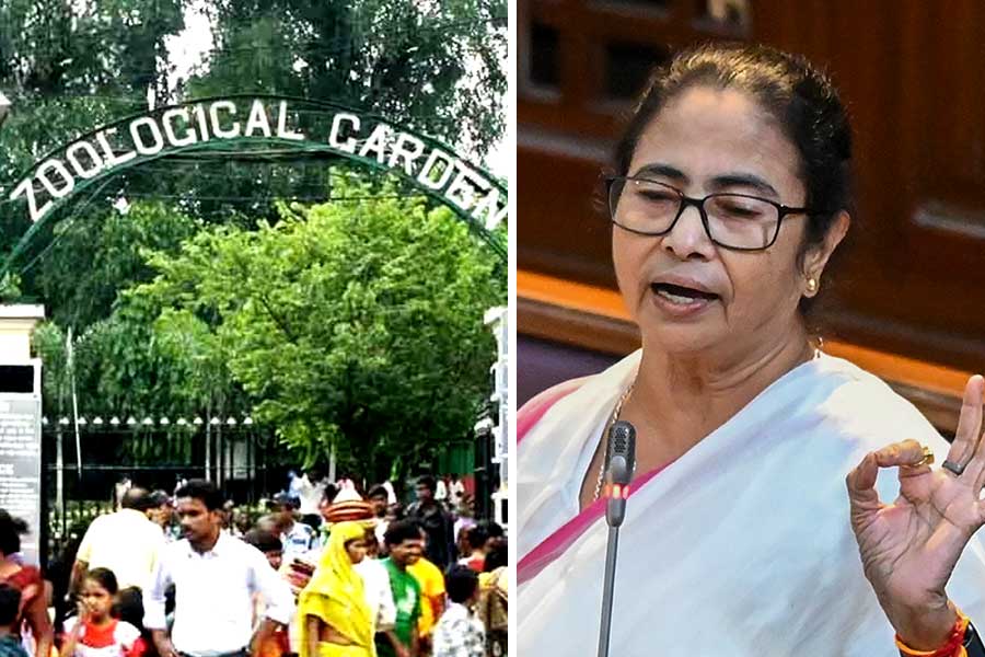 আলিপুর চিড়িয়াখানার উলটো দিকে বিগ বাজার, উপকৃত হবে স্বনির্ভর গোষ্ঠীও