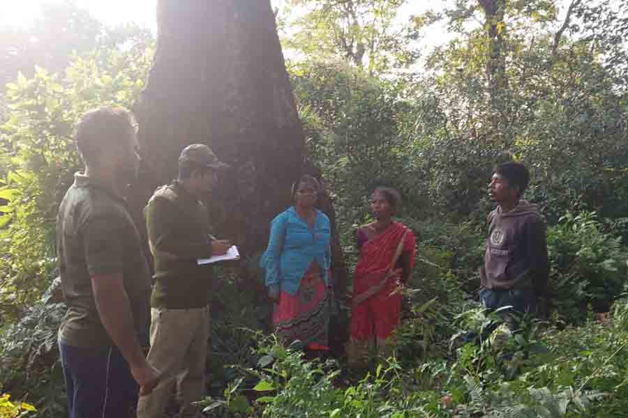 উজ্জ্বলা যোজনার গ্যাস নেই, বনে জ্বালানির কাঠ সংগ্রহে গিয়ে হাতির হানায় মৃত্যু! তোপের মুখে কেন্দ্র