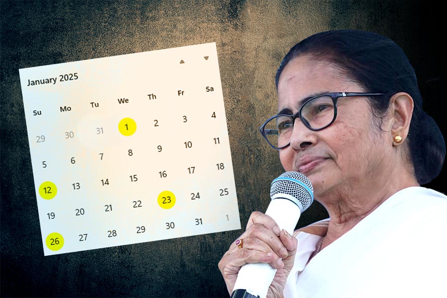 দেখে নিন ২০২৫-এর লম্বা ছুটির তালিকা, কবে পড়ছে পুজোর ছুটি?