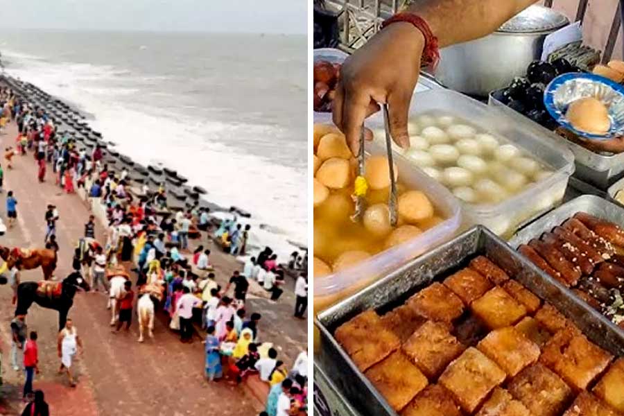 নতুন বছরে দিঘায় মিষ্টি উৎসব, আর কী কী চমক থাকছে?