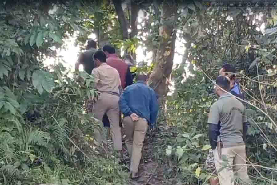 কাঠ কুড়োতে গিয়ে তিন দিনে হাতির হানায় মৃত চার,  জলদাপাড়ায় বাড়ছে আতঙ্ক