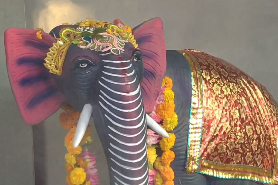 তুষ্ট করতে গজরাজের পুজো, গত ৩৫ বছর ধরে হাতি হামলা চালায়নি বক্সার দক্ষিণ সাতকোদালি গ্রামে