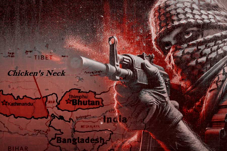 বাড়ছে আশঙ্কা! কেন চিন্তা বাড়াচ্ছে চিকেনস নেক!