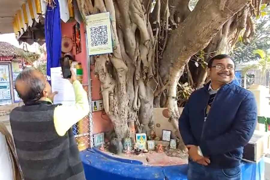 চন্দননগরে গাছের গায়ে QR কোড, স্ক্যান করলেই চমক