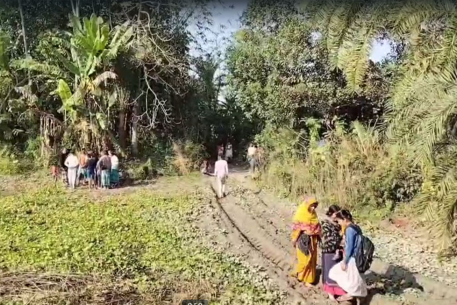 বিএফএস জওয়ানদের তাড়ায় পালালেন পাচারকারীরা, বনগাঁয় উদ্ধার প্রায় হাজার কচ্ছপ