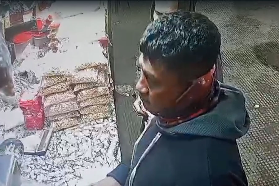 অনুষ্ঠান বাড়িতে মাছ, মাংস কেনার নামে যুবকের অভিনব প্রতারণা বনগাঁয়, হতবাক ব্যবসায়ীরা