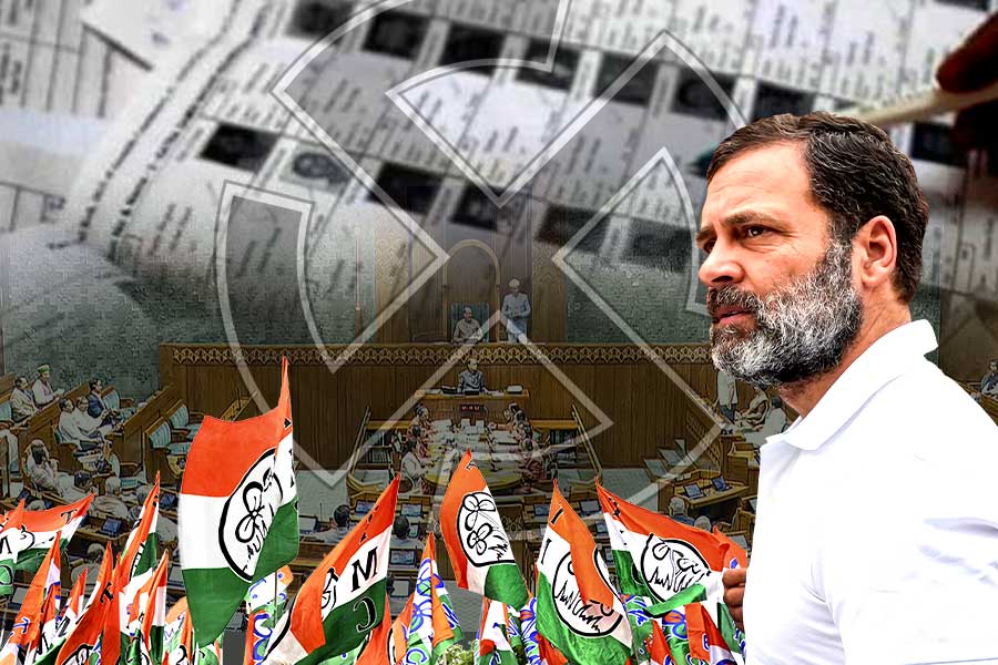 ‘ভূতুড়ে’ ভোটার ইস্যুতে সংসদে তৃণমূলের পাশে রাহুল, রাজ্যসভায় ওয়াকআউট ঘাসফুল শিবিরের