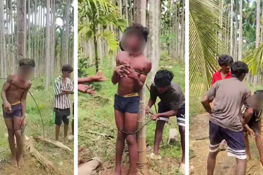 গাছে বেঁধে মারধর, গোপনাঙ্গে লাল পিঁপড়ে! চোর সন্দেহে আদিবাসি যুবককে পাশবিক অত্যাচার