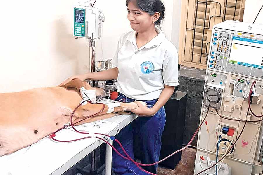 ক্রিয়েটিনিনে লাগাম দিতে না-মানুষের ডায়ালিসিস, কলকাতায় নজিরবিহীন চিকিৎসা