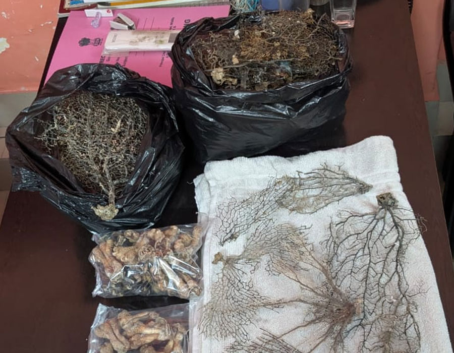 2 arrested from Kolkata allegedly selling body parts of animal