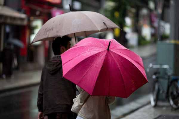 Umbrella