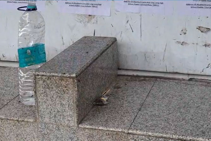 বাসস্ট্যান্ডে ছড়িয়ে চাপচাপ রক্ত! হাড়হিম ঘটনায় চাঞ্চল্য নিউটাউনে