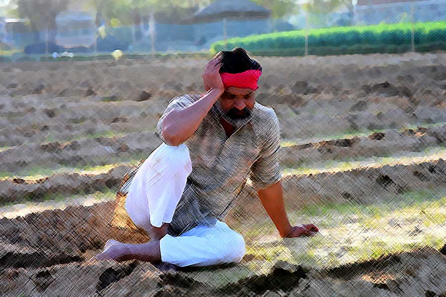 দড়ির ফাঁসে ‘মুক্তি’ খুঁজছে অন্নদাতা! মহারাষ্ট্রে ৩ মাসে আত্মঘাতী ৭৬৭ জন কৃষক, নির্বিকার সরকার