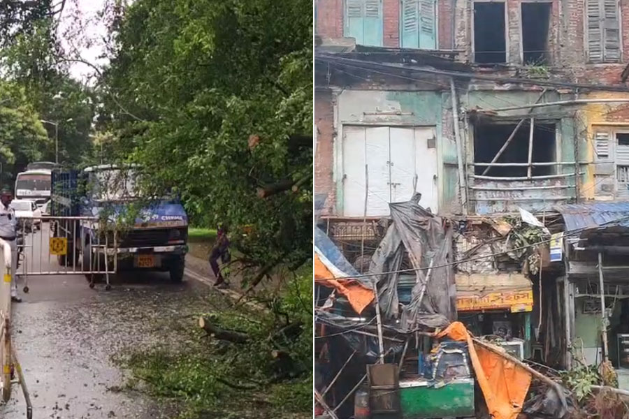 রাতভর লাগাতার বৃষ্টির জেরে শহরে ভাঙল দু’টি বাড়ির একাংশ, পড়ল গাছ, তৎপর প্রশাসন