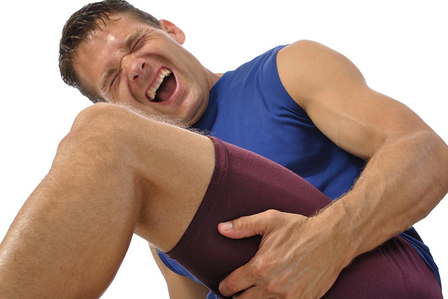 Muscle 1