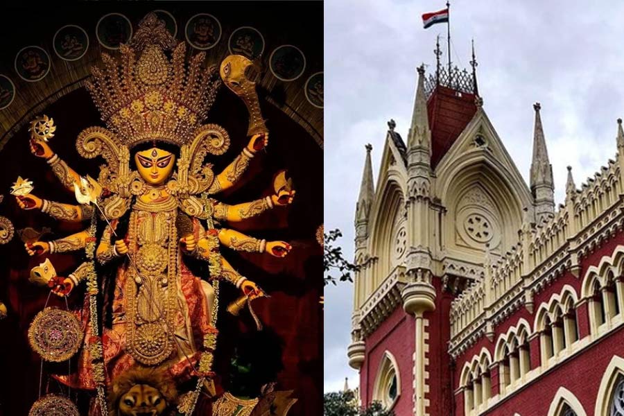 হিসাব না দেওয়া ক্লাবগুলিকেও কেন পুজো অনুদান? রাজ্যকে প্রশ্ন হাই কোর্টের