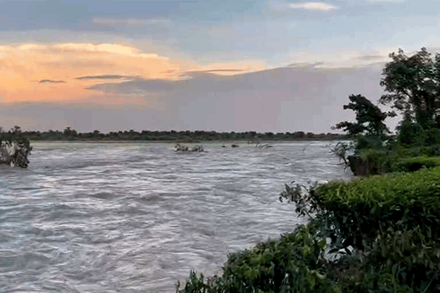 ভুটান থেকে ধেয়ে আসা নদীর জলে ব্যাপক ভাঙন আলিপুরদুয়ারে, তলিয়ে যাচ্ছে বাড়িঘর-সহ ফসলি জমি