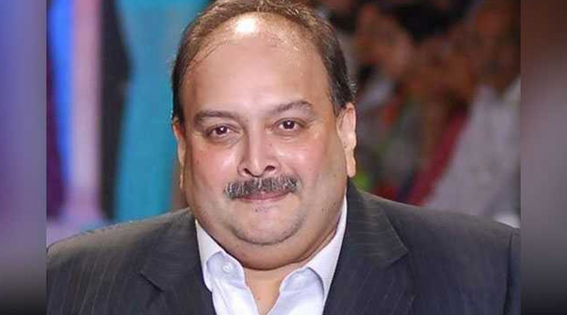 নজরবন্দির আবেদনেও লাভ হল না, বেলজিয়ামের আদালতে চোকসির জামিন খারিজ, কবে প্রত্যার্পণ?