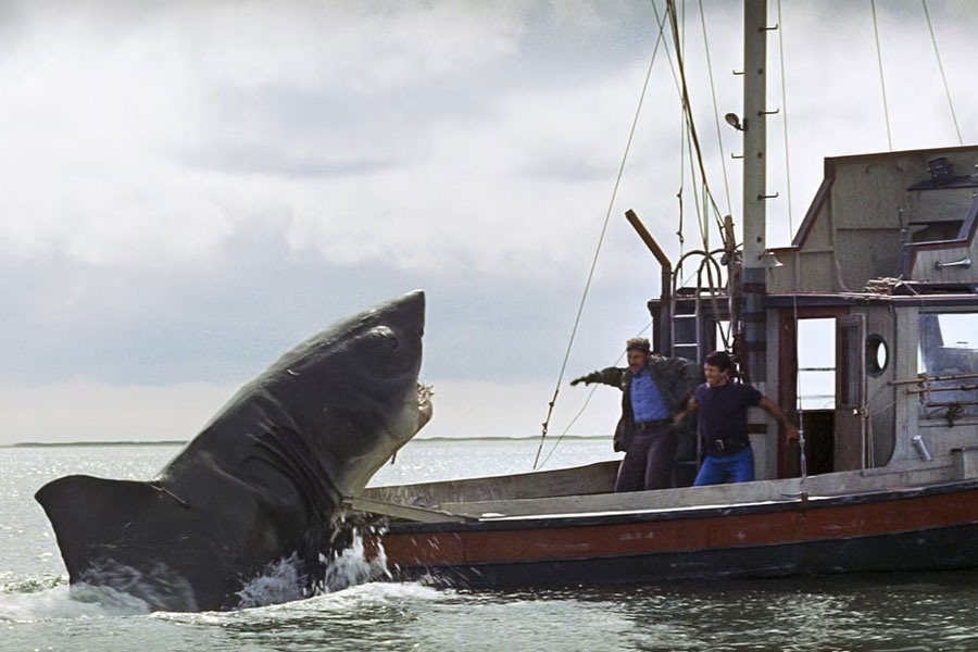 ৫০ বছর পর আবার মুক্তি পাচ্ছে Jaws! নস্ট্যালজিয়া ফেরাবে স্পিলবার্গের ছবি