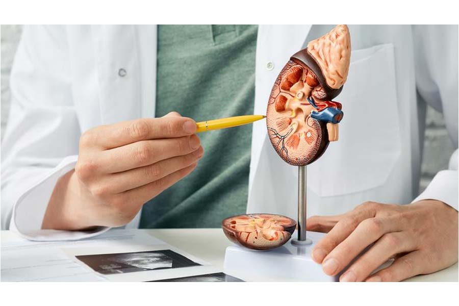 Eating too much sweets on Krishna Janmashtmi will affect your kidneys