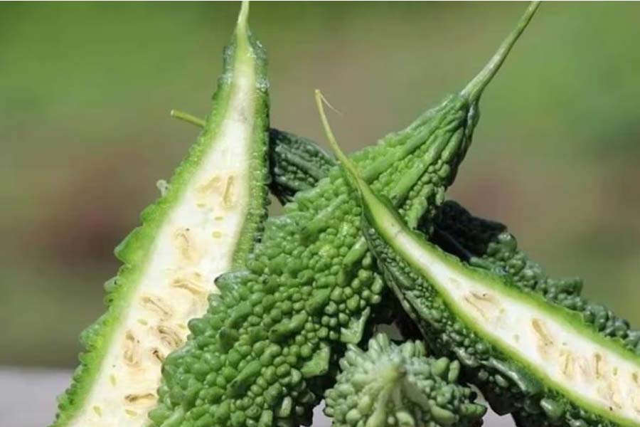 Know which vegetables cannot be eaten during Radhashtami 
