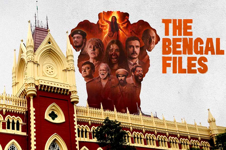 বাংলার হলগুলিতে দেখানো হোক ‘দ্য বেঙ্গল ফাইলস’, হাই কোর্টে দায়ের জনস্বার্থ মামলা