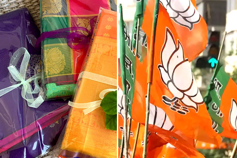মহালয়ায় শাড়ি উপহার দেবে বিজেপি! মহিলা ভোটার বাড়ানোর কৌশল?